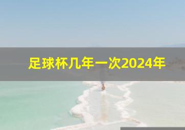 足球杯几年一次2024年