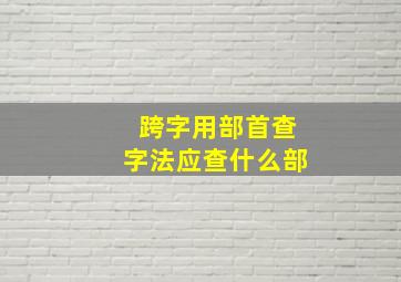 跨字用部首查字法应查什么部