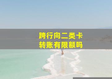 跨行向二类卡转账有限额吗