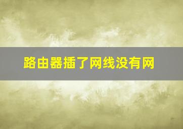 路由器插了网线没有网