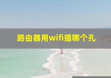 路由器用wifi插哪个孔