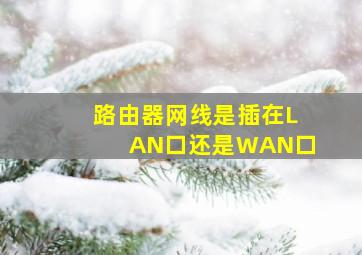 路由器网线是插在LAN口还是WAN口