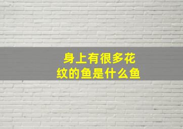 身上有很多花纹的鱼是什么鱼