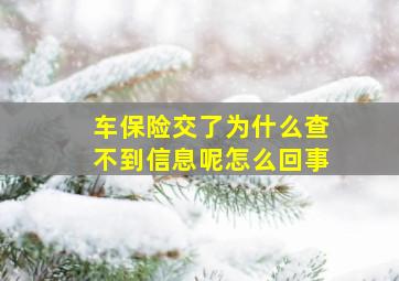 车保险交了为什么查不到信息呢怎么回事