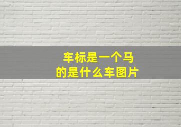 车标是一个马的是什么车图片