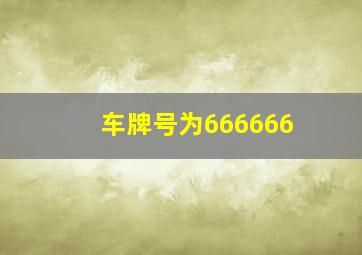 车牌号为666666