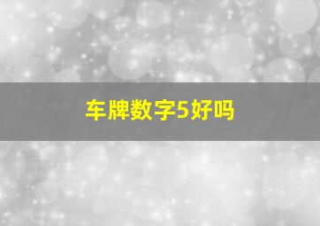 车牌数字5好吗