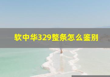 软中华329整条怎么鉴别