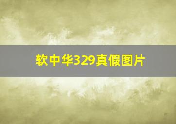 软中华329真假图片