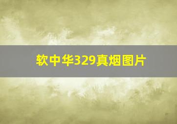 软中华329真烟图片