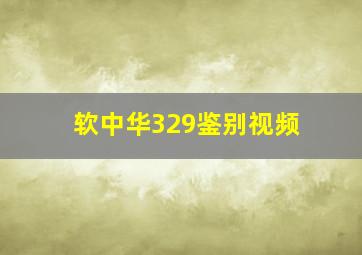 软中华329鉴别视频