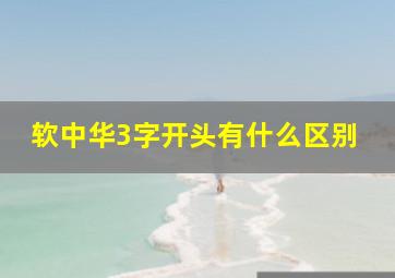 软中华3字开头有什么区别