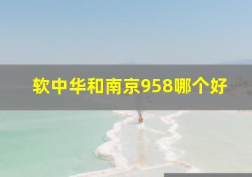 软中华和南京958哪个好