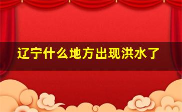 辽宁什么地方出现洪水了