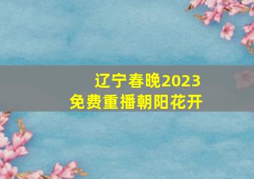 辽宁春晚2023免费重播朝阳花开