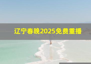 辽宁春晚2025免费重播