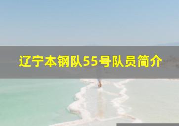 辽宁本钢队55号队员简介