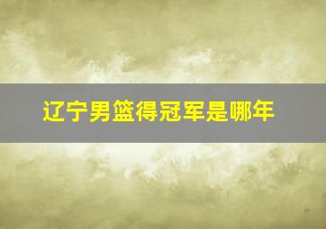 辽宁男篮得冠军是哪年