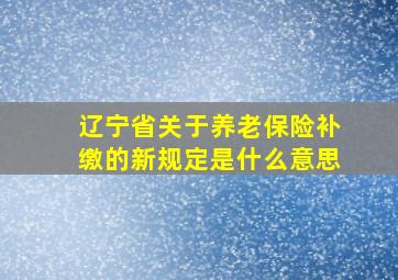 辽宁省关于养老保险补缴的新规定是什么意思