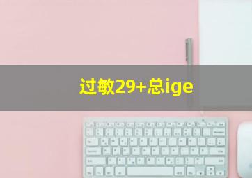 过敏29+总ige