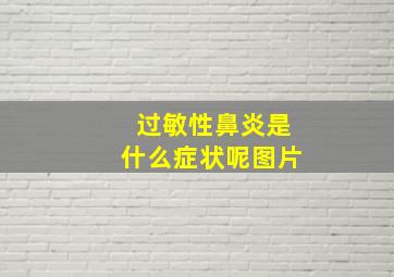 过敏性鼻炎是什么症状呢图片