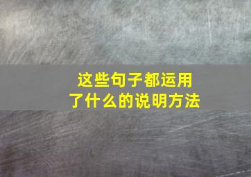 这些句子都运用了什么的说明方法