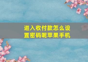 进入收付款怎么设置密码呢苹果手机