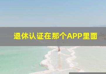 退休认证在那个APP里面