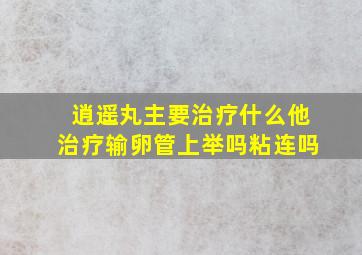 逍遥丸主要治疗什么他治疗输卵管上举吗粘连吗