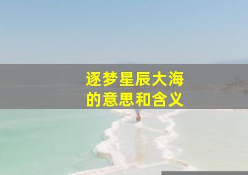 逐梦星辰大海的意思和含义