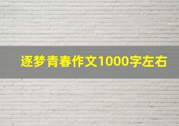 逐梦青春作文1000字左右