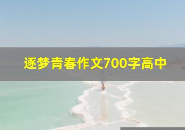 逐梦青春作文700字高中