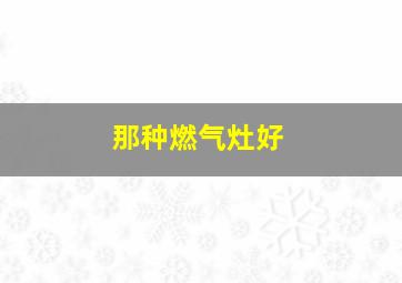 那种燃气灶好