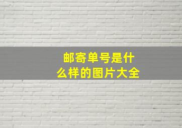 邮寄单号是什么样的图片大全