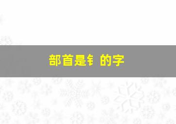 部首是钅的字