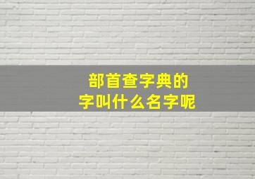 部首查字典的字叫什么名字呢