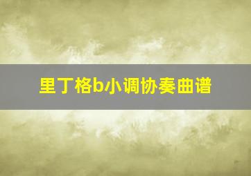 里丁格b小调协奏曲谱