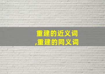 重建的近义词,重建的同义词