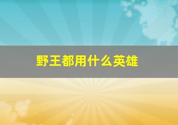 野王都用什么英雄