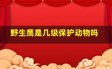 野生鹰是几级保护动物吗