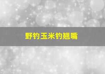 野钓玉米钓翘嘴