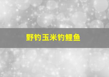 野钓玉米钓鲤鱼