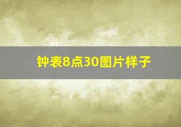 钟表8点30图片样子