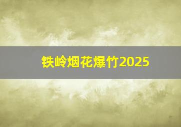 铁岭烟花爆竹2025