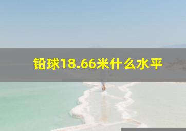 铅球18.66米什么水平