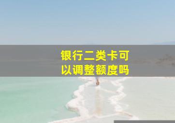 银行二类卡可以调整额度吗