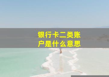 银行卡二类账户是什么意思