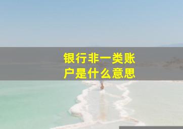 银行非一类账户是什么意思