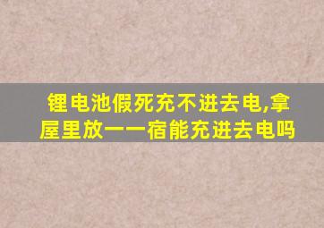 锂电池假死充不进去电,拿屋里放一一宿能充进去电吗