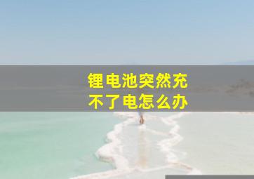 锂电池突然充不了电怎么办